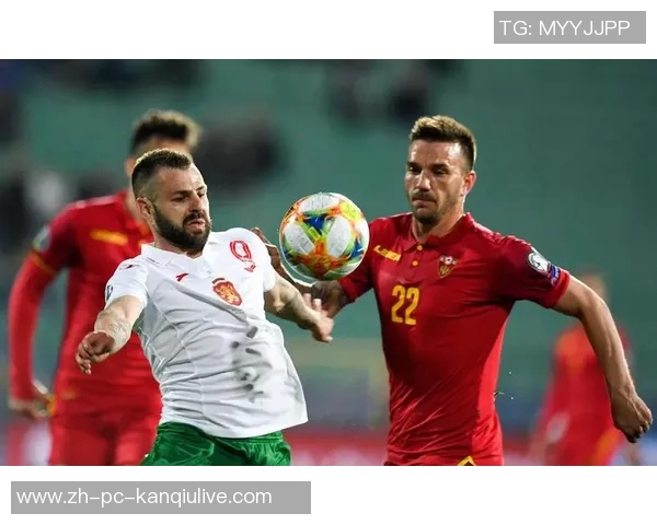 世预赛激战葡萄牙对决瑞士谁能赢得晋级资格赛的胜利